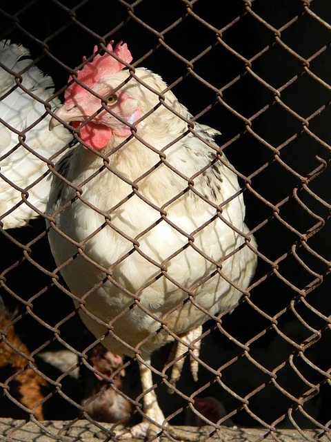 以最具性价 以最具性价