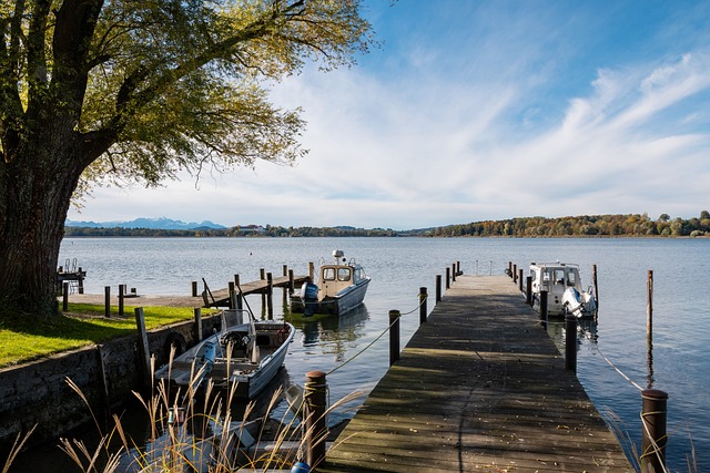 供了丰富的 供了丰富的