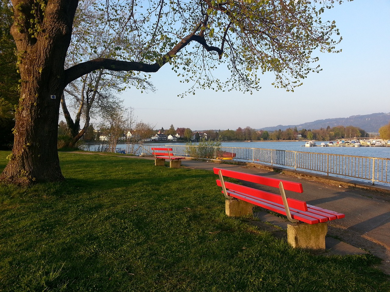 也为德国的 也为德国的