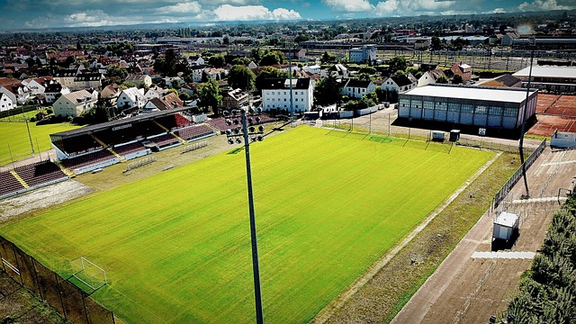 有因此丧失 有因此丧失