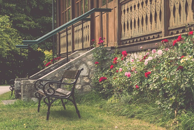 这一数字有 这一数字有